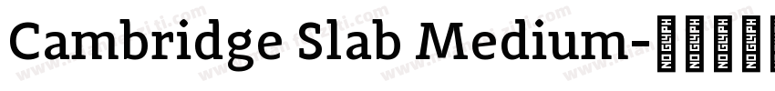 Cambridge Slab Medium字体转换